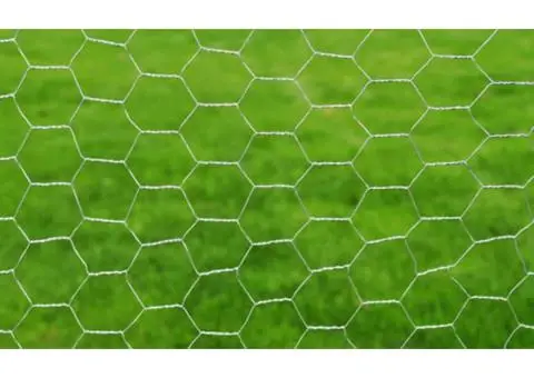 Plasă de sârmă găini, argintiu, 25 x 0,75 m, oțel galvanizat - 3/4