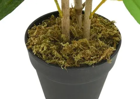 Arbore din bambus artificial 368 de frunze 80 cm verde - 3/4