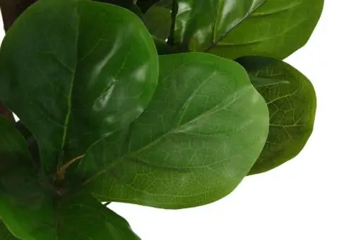 Smochin artificial cu frunze 180 de frunze 150 cm verde - 3/5