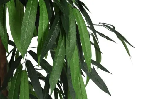 Arbore de mango artificial 600 de frunze 150 cm verde - 3/5