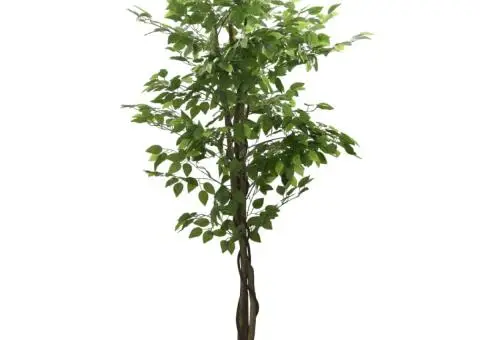 Arbore ficus artificial 1008 de frunze 180 cm verde - 1/5