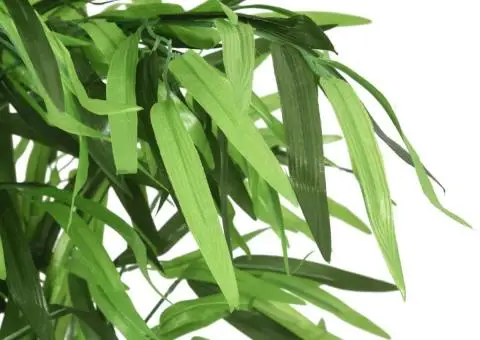 Arbore din bambus artificial 240 de frunze 80 cm verde - 2/4