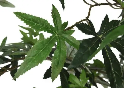 Arbore de arțar artificial 756 de frunze 200 cm verde - 3/5