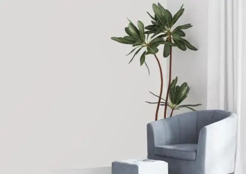 Tapet 3D, culoare uni alb, 10x0,53 m, nețesut - 1/5