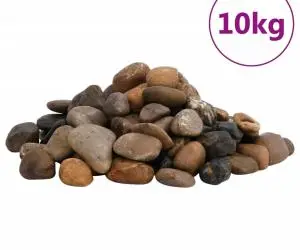 vidaXL Pietricele lustruite, 10 kg, culori mixte, 2-5 cm