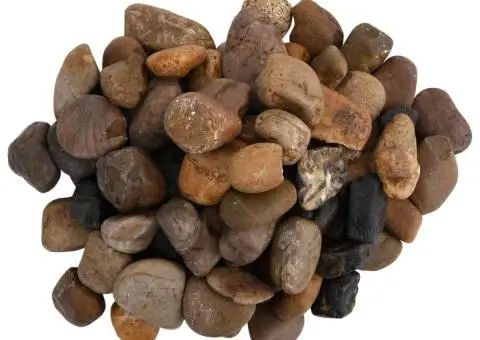 Pietricele lustruite, 10 kg, culori mixte, 2-5 cm - 3/4