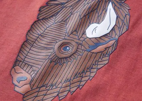 Tricou pentru copii cu mâneci lungi, roșu ars, 140 - 4/5