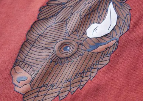 Tricou pentru copii cu mâneci lungi, roșu ars, 116 - 4/5