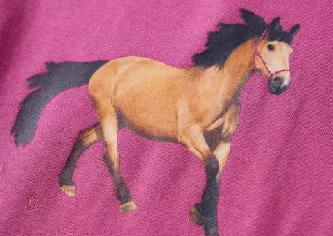 Tricou pentru copii cu mâneci lungi, zmeuriu, 92 - 4/5