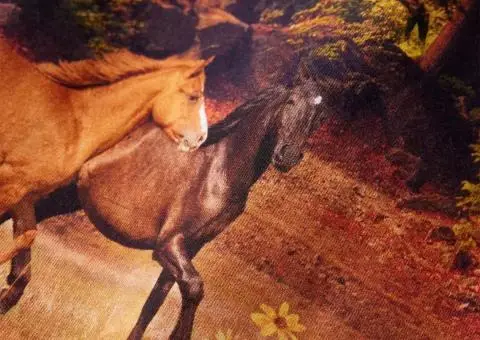 Rochie pentru copii cu mâneci lungi, coniac, 104 - 4/5