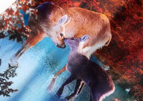 Rochie cu mâneci lungi pentru copii, bleumarin, 140 - 4/5