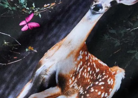 Rochie cu mâneci lungi pentru copii, bleumarin, 92 - 4/5