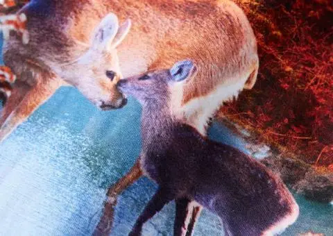 Rochie copii cu mâneci lungi, roz antichizat, 104 - 4/5