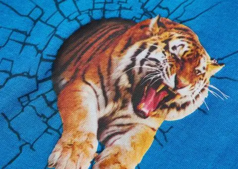 Tricou de copii cu mâneci lungi albastru cobalt, 104 - 4/5