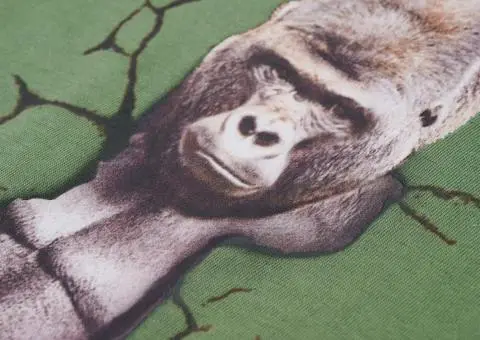 Tricou de copii cu mâneci lungi, kaki deschis, 116 - 4/5