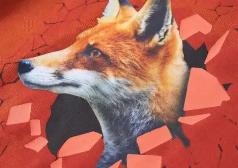 Tricou de copii cu mâneci lungi ruginiu deschis, 116 - 4/5