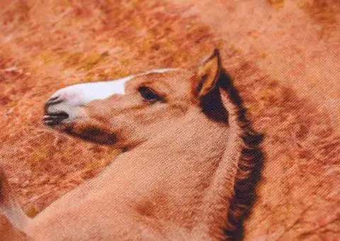 Rochie pentru copii cu mâneci lungi, bleumarin, 104 - 4/5