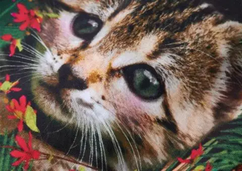 Rochie pentru copii cu mâneci lungi, bleumarin, 104 - 4/5