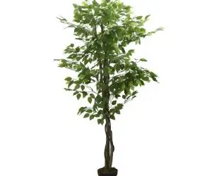 vidaXL Arbore ficus artificial 1008 de frunze 180 cm verde