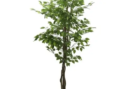 Arbore ficus artificial 1008 de frunze 180 cm verde - 2/5