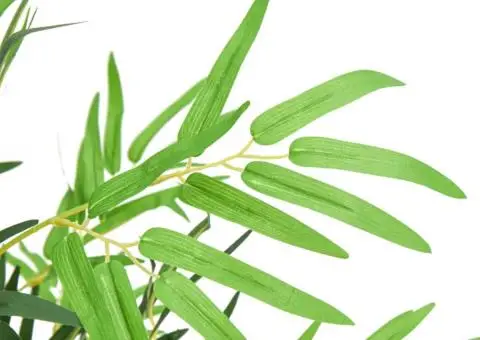 Arbore din bambus artificial 500 de frunze 80 cm verde - 2/4