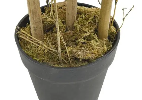 Arbore din bambus artificial 500 de frunze 80 cm verde - 3/4