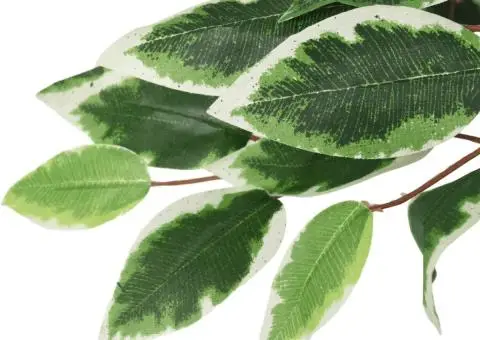 Arbore ficus artificial 630 de frunze 120 cm verde - 3/5